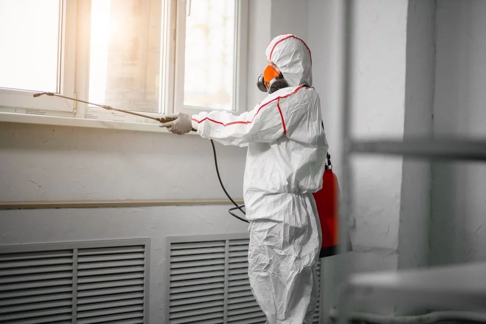 Professional mold remediation services in Bainbridge, IN
